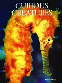 Produktbild: Curious Creatures
