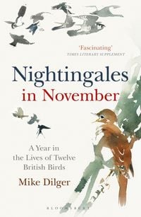 Produktbild: Nightingales in November