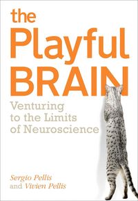 Produktbild: The Playful Brain