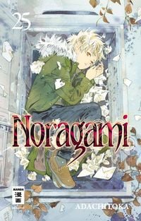 Produktbild: Noragami 25