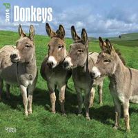 Produktbild: Donkeys Calendar