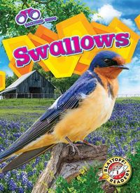 Produktbild: Swallows