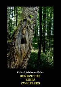 Produktbild: Denkzettel eines Zweiflers