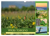 Produktbild: Wilde Toskana - von Ren&eacute; Schaack (Wandkalender 2026 DIN A3 quer), CALVENDO Monatskalender
