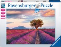 Bild vom Artikel Puzzle Ravensburger Lavendelfeld in der goldenen Stunde 1000 Teile vom Autor 