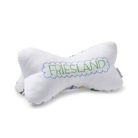 Produktbild: Leseknochen Friesland