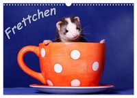 Produktbild: Frettchen - Ferrets (Wandkalender 2027 DIN A3 quer), CALVENDO Monatskalender
