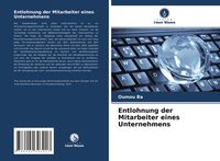 Produktbild: Entlohnung der Mitarbeiter eines Unternehmens