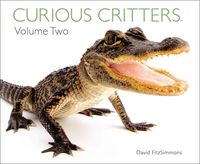 Produktbild: Fitzsimmons, D: Curious Critters Volume Two