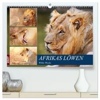 Produktbild: Afrikas L&ouml;wen 2027 (hochwertiger Premium Wandkalender 2027 DIN A2 quer), Kunstdruck in Hochglanz