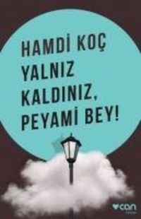 Produktbild: Yalniz Kaldiniz, Peyami Bey