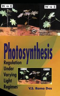 Produktbild: Photosynthesis