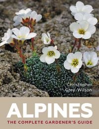 Produktbild: Alpines