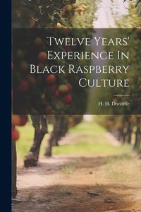 Produktbild: Twelve Years' Experience In Black Raspberry Culture
