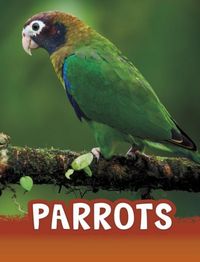 Produktbild: Parrots