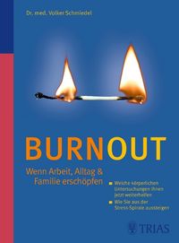 Produktbild: Burnout