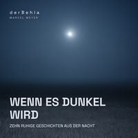 Produktbild: Wenn es dunkel wird &mdash; Zehn ruhige Geschichten aus der Nacht