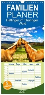 Produktbild: Familienplaner 2027 - Haflinger im Th&uuml;ringer Wald mit 5 Spalten (Wandkalender, 21 x 45 cm) CALVENDO