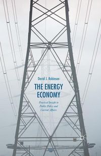 Produktbild: The Energy Economy