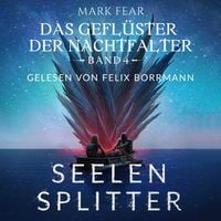 Produktbild: Seelensplitter
