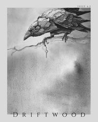 Produktbild: Driftwood Press 6.2