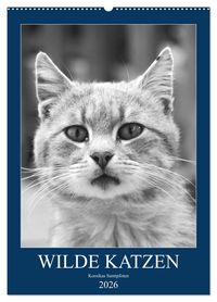 Produktbild: Wilde Katzen - Korsikas Samtpfoten (Wandkalender 2026 DIN A2 hoch), CALVENDO Monatskalender