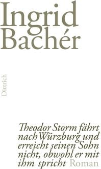 Produktbild: Theodor Storm f&auml;hrt nach W&uuml;rzburg und erreicht seinen Sohn nicht, obwohl er mit ihm spricht