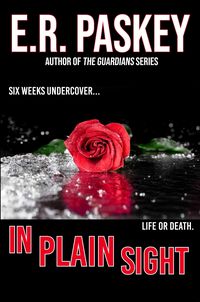 Produktbild: In Plain Sight