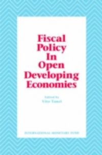 Produktbild: Fiscal Policy, Economic Adjustment, and Financial Markets
