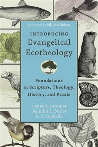 Produktbild: Introducing Evangelical Ecotheology