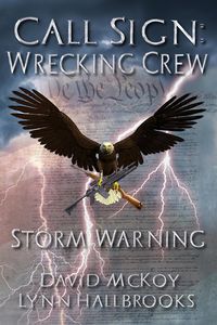 Produktbild: Storm Warning (Call Sign: Wrecking Crew, #1)