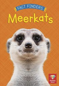 Produktbild: Meerkats