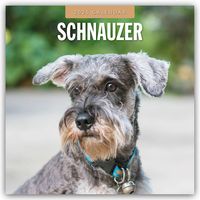 Produktbild: Schnauzer 2025 &ndash; 16-Monatskalender