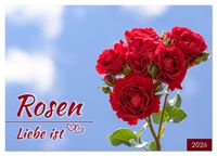 Produktbild: Rosen, Liebe ist (Wandkalender 2026 DIN A3 quer), CALVENDO Monatskalender