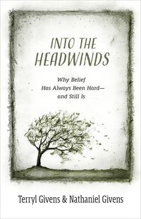 Produktbild: Into the Headwinds