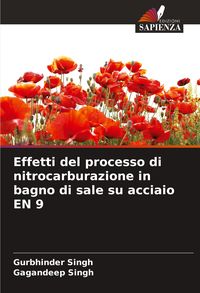 Produktbild: Effetti del processo di nitrocarburazione in bagno di sale su acciaio EN 9