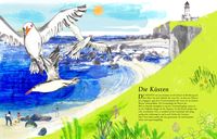 Das Meer - Wichtige Themen: Artenvielfalt und Naturschutz in einem extragroßen Buch mit Neonfarbe auf dem Cover
