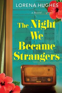 Produktbild: The Night We Became Strangers
