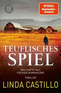 Produktbild: Teuflisches Spiel / Kate Burkholder Band 5