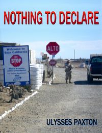 Produktbild: Nothing To Declare