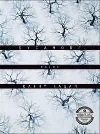Produktbild: Sycamore
