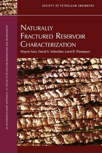 Produktbild: Naturally Fractured Reservoir Characterization