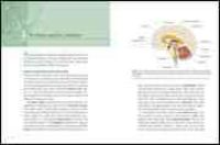 Produktbild: Gray Matter: Exploring the Brain