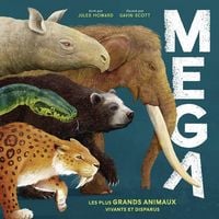 Produktbild: Mega