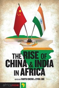 Produktbild: The Rise of China and India in Africa