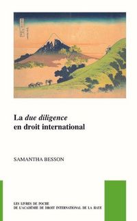 Produktbild: La Due Diligence En Droit International