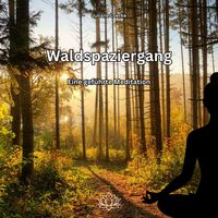 Produktbild: Waldspaziergang - Eine gef&uuml;hrte Meditation