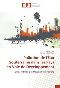 Produktbild: Pollution de l'Eau Souterraine dans les Pays en Voie de D&eacute;veloppement