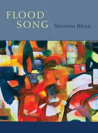 Produktbild: Flood Song