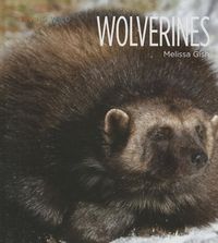 Produktbild: Wolverines